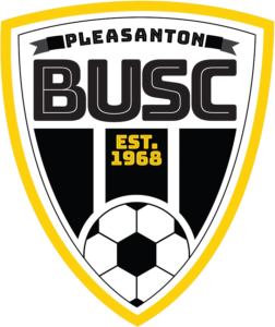 BuscLogonew-252x300 (2)